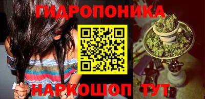 гашик Кулебаки