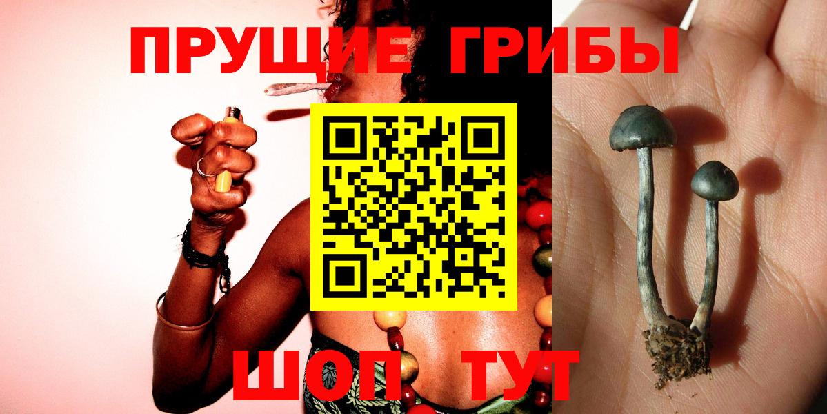 Псилоцибиновые грибы Cubensis  Вход с VPN  наркошоп  Елец  Псилоцибиновые грибы Cubensis 