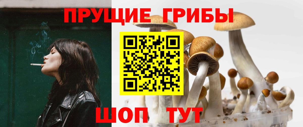 Галлюциногенные грибы Cubensis Елец